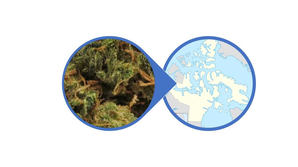 Find Weed in Nunavut