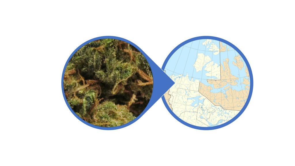 Find Weed in Northwest Territories