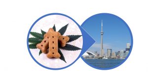 CBD oil for pets Toronto: pet CBD Toronto and pet CBD oil Toronto; cbd for pets toronto : where to buy cbd oil for dogs in toronto, cbd oil for cats toronto