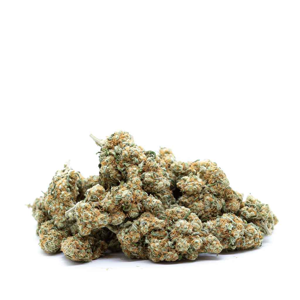 Granimals_2