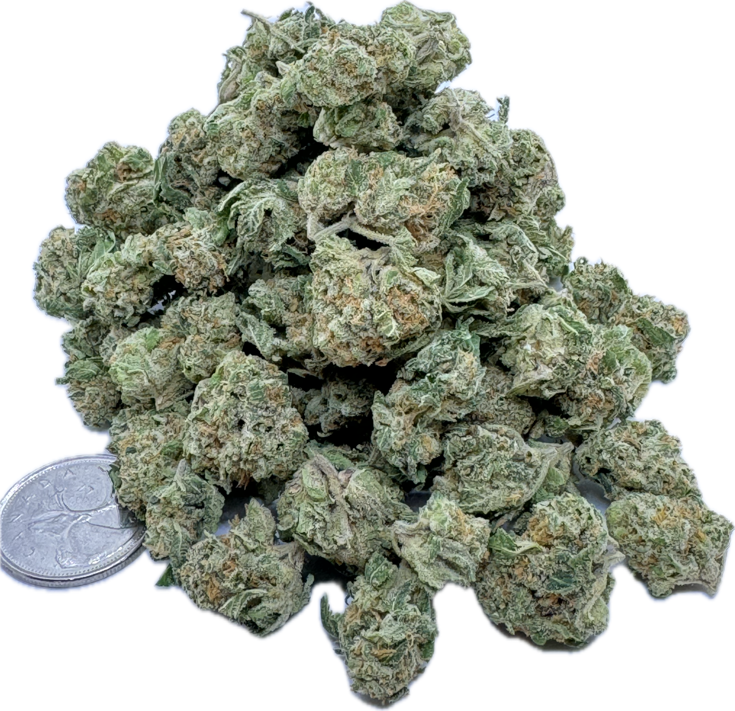 Nuken smalls main