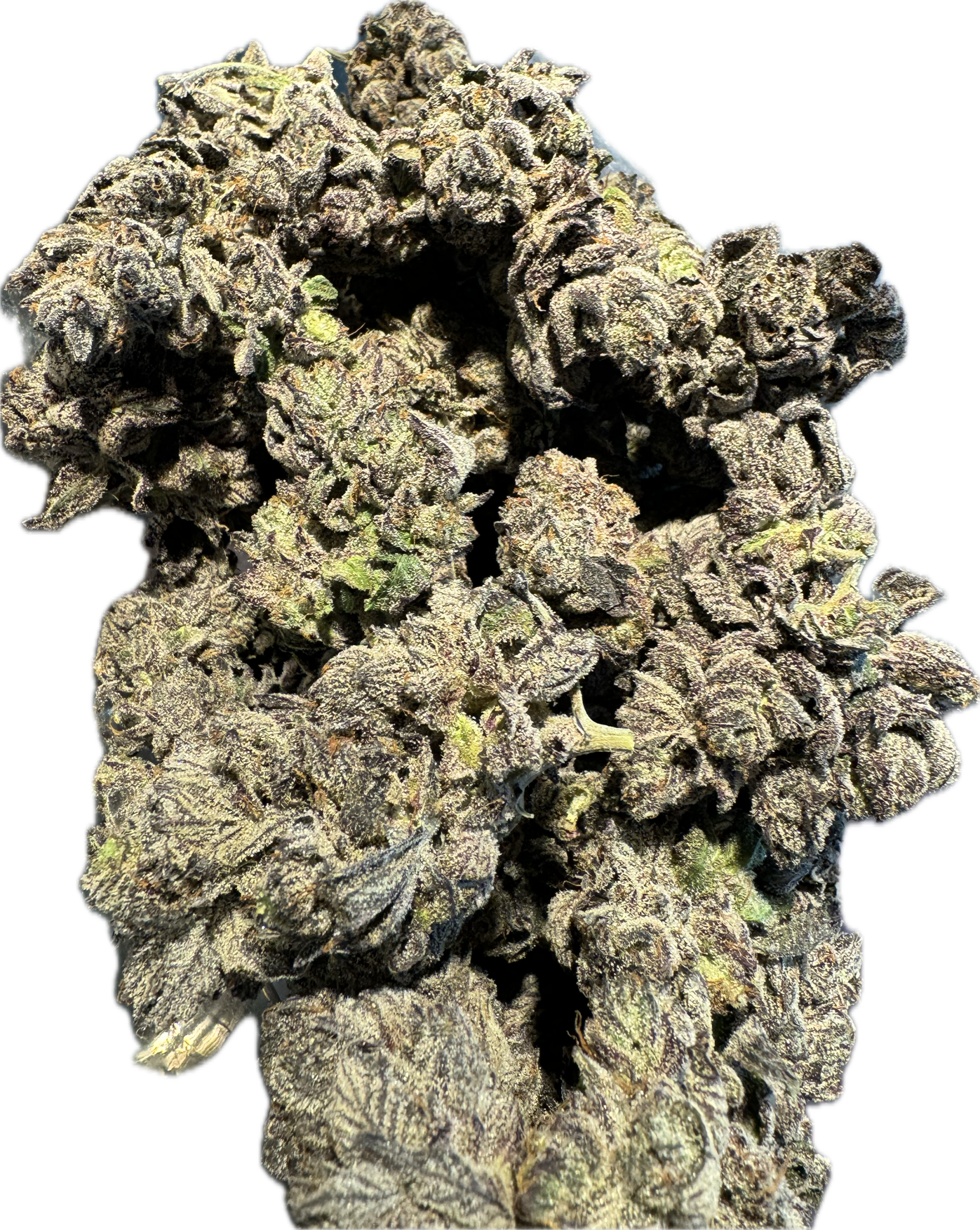 TG main bag